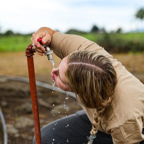 9C528F18-53CB-4283-9A83-6A181FCBC4CB